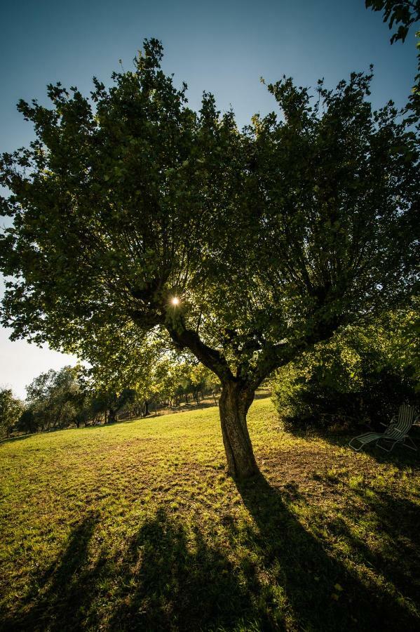 Вілла Podere Belvedere Tuscany Понтассьєве Екстер'єр фото
